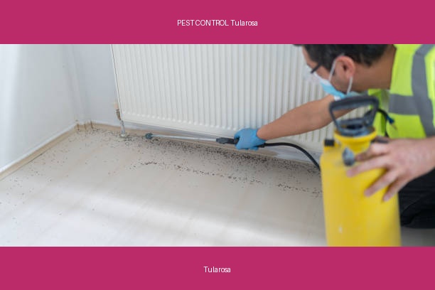 PEST CONTROL Tularosa
